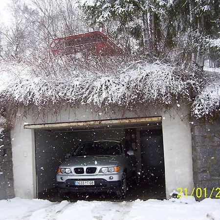 Chalet Contemporain Plein Nature Altenbach Exterior photo