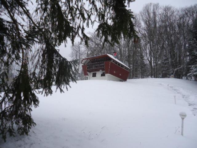 Contemporain Plein Nature Chalet